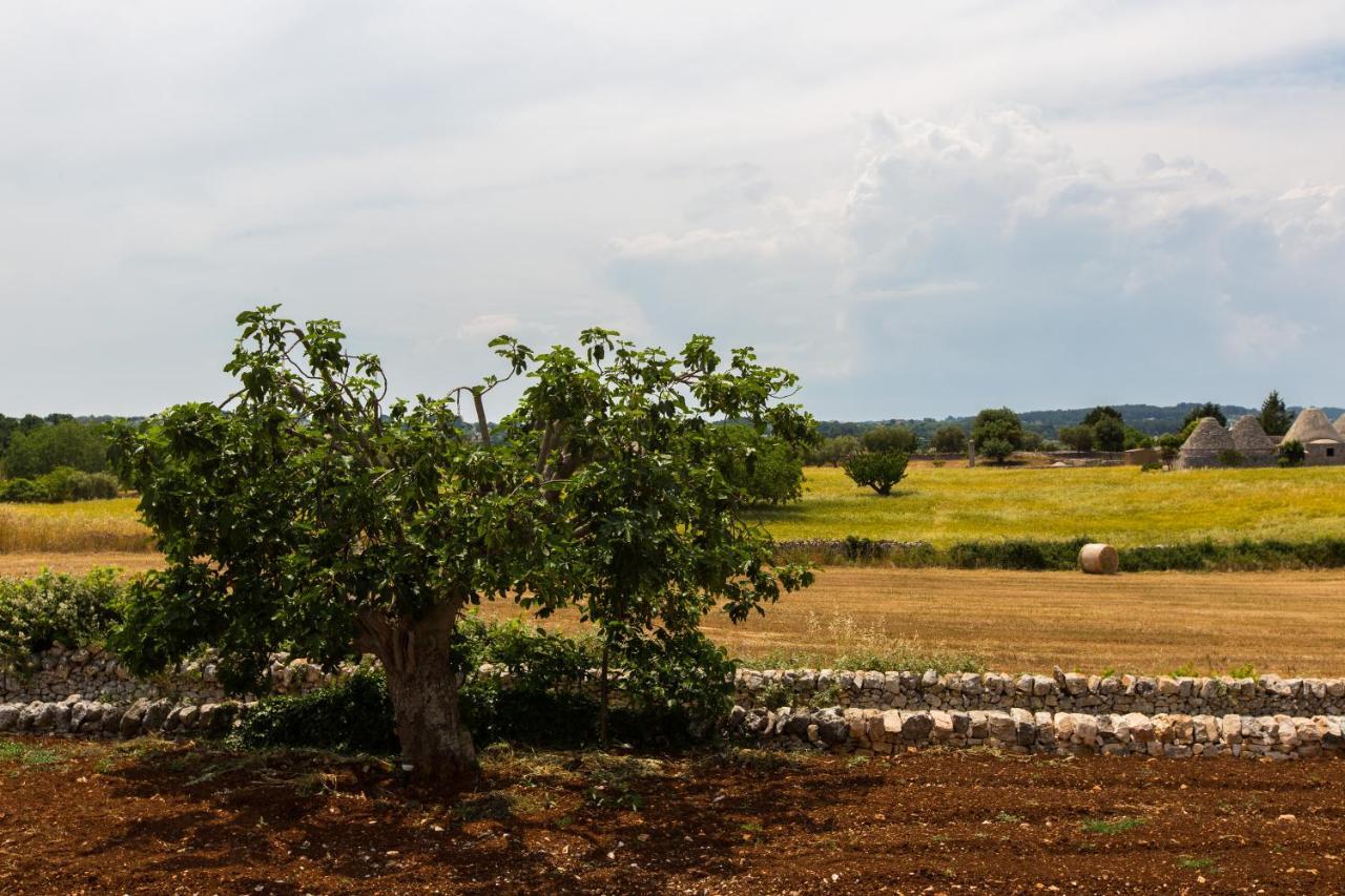 Trulli Gianpaolo - Luxury Villa Ostuni Ngoại thất bức ảnh